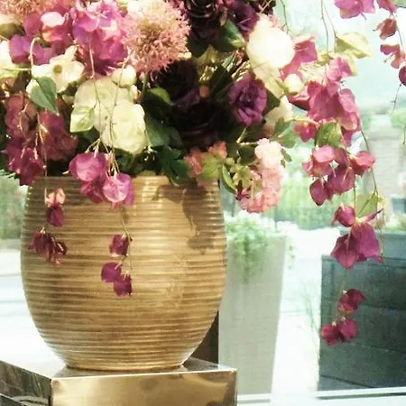 Hotel De Paasberg 3*