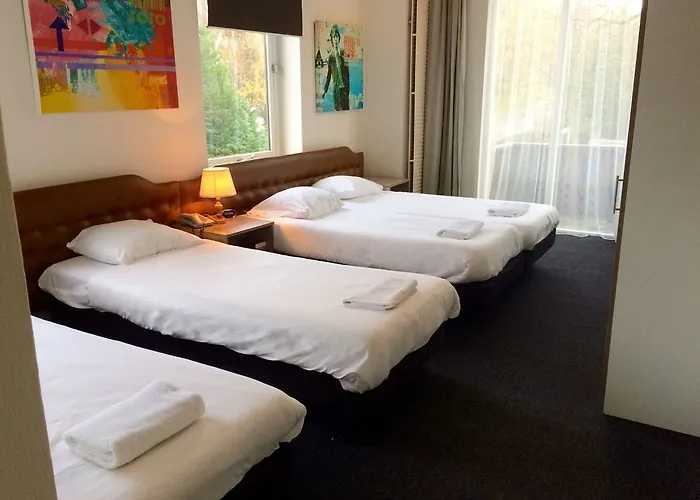 Hotel De Paasberg 3*