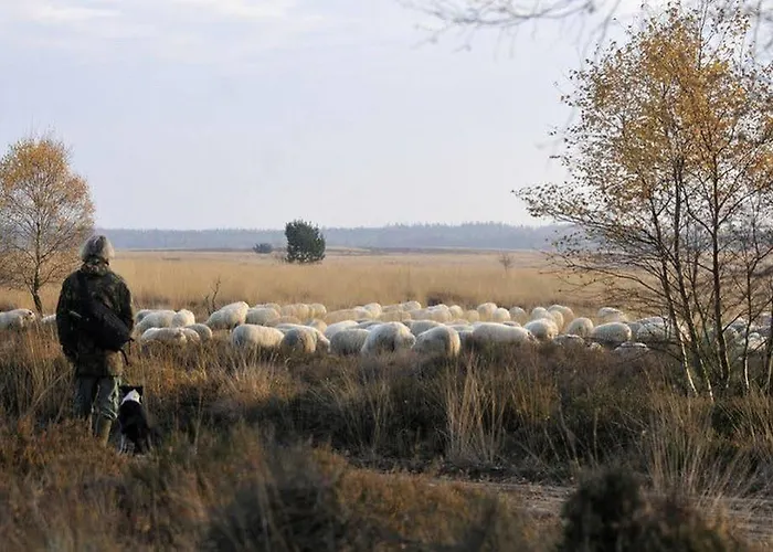 Hotel De Paasberg 3*